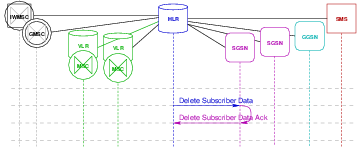 Transaction Flow &mdash; Delete Subscriber Data